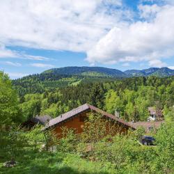 Saint-Cergue 4 hoteles