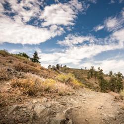 Wrightwood 11 hotels