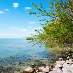 Balatonlelle 14 bed & breakfast