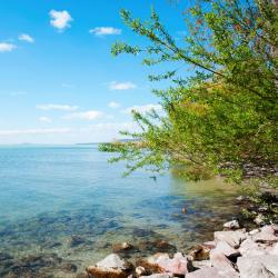 Balatonlelle 9 homestays