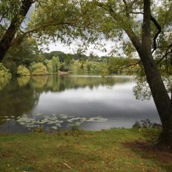 Daylesford 3 glamping sites