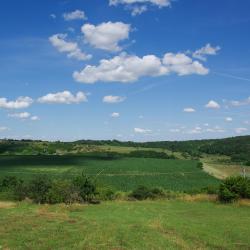 Balatonendréd 3 üdülőház