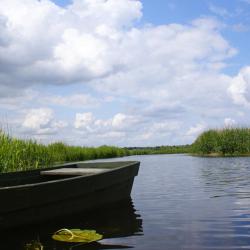 Goniondzas Atostogų būstai (16)