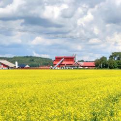 S&ouml;der&aring;kra 3 hot&eacute;is na praia