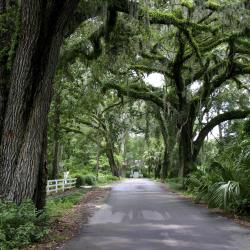 Micanopy 2 hoteller