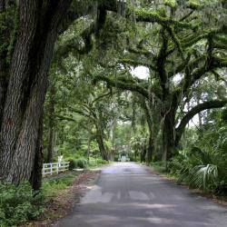 Micanopy 10 hotelli