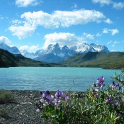 Torres del Paine