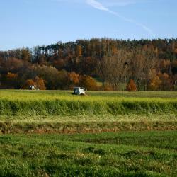 Reuterstadt Stavenhagen 4 pet-friendly hotels