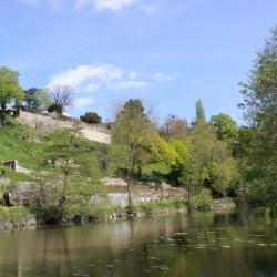 Mortagne-sur-Sèvre 3 hoteles que aceptan mascotas