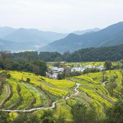 Wuyuan 12 hotels