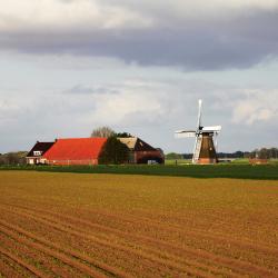 Stadskanaal 4 holiday rentals