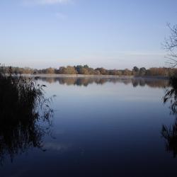 Frensham 1 отель