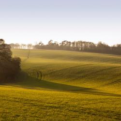 Harrietsham 3 pet-friendly hotels