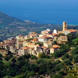 Cateri 9 hotels