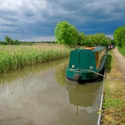Sutton Bridge 3 B&Bs