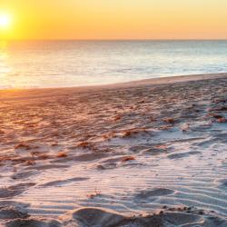 Vero Beach 95 hotels