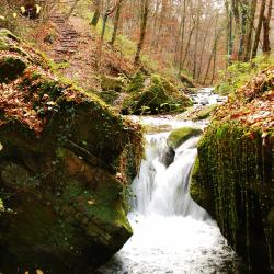 Berdorf 9 campsites