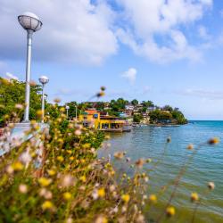 Naguabo 3 chaleter