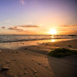 Beau Vallon 6 hotels