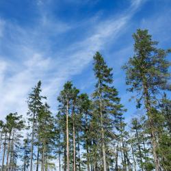 Orrefors 5 of the holiday rentals