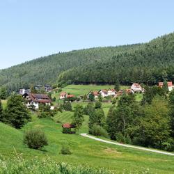 Baiersbronn 88 holiday rentals