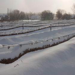 Dunham 3 Hotels mit Parkplatz
