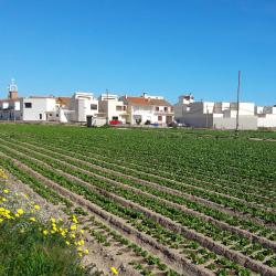 Huércal-Overa 3 B&Bs