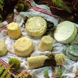 Saint-Maixent-lʼ&Eacute;cole 12 konaklama birimi