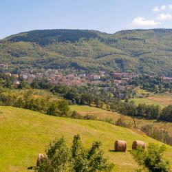 Castiglione dei Pepoli 7 hoteles baratos