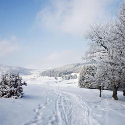 Kruševo 29 ferieboliger