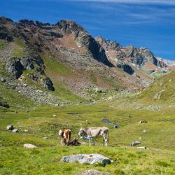 Wörschach 3 hotels with parking