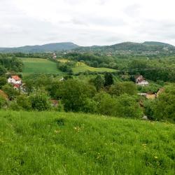 Gornja Trepča 14 hoteller