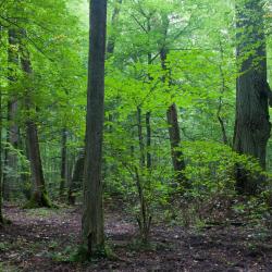 Klaudyn 3 Hotels mit Parkplatz