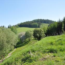 Jilemnice 13 ski resorts