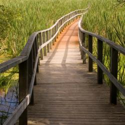 薩克維爾 3 間有停車位的飯店