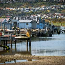 Plimmerton 3家带停车场的酒店