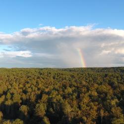 Milly-la-Forêt 17 hoteles