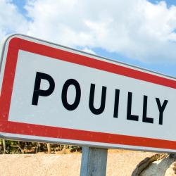 Solutré-Pouilly 1 hotel