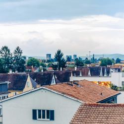 Allschwil 7 apartments