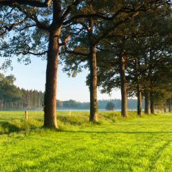 Gasselte 11 Ferienunterkünfte