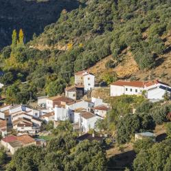 Marchena 7家乡间豪华旅馆