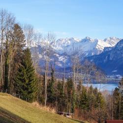 Hofstetten  3 chalets