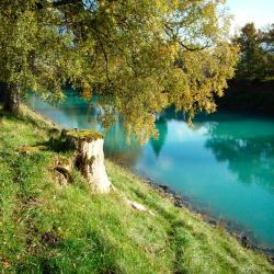 Widnau 6 hotels