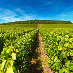 Bergères-lès-Vertus 2 hotéis