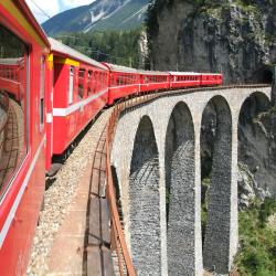 Davos Wiesen 3 hotely pro pobyt s domácími mazlíčky