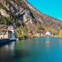 Unterseen 6 apartmánů