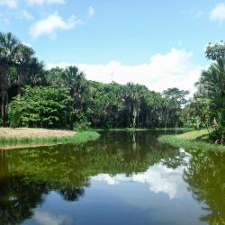 Cumaral 6 pet-friendly hotels