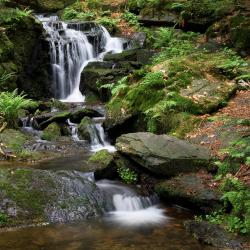Neunburg vorm Wald 33 hotels with parking