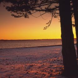 Salisbury 4 huisdiervriendelijke hotels