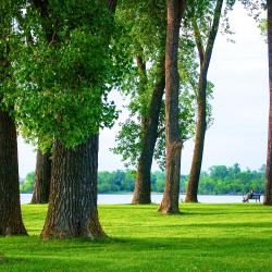 Clear Lake 9 hotels